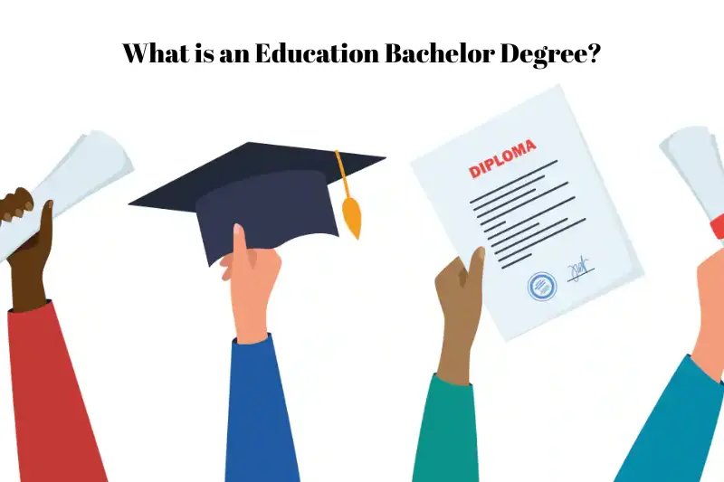 what is an education bachelor degree